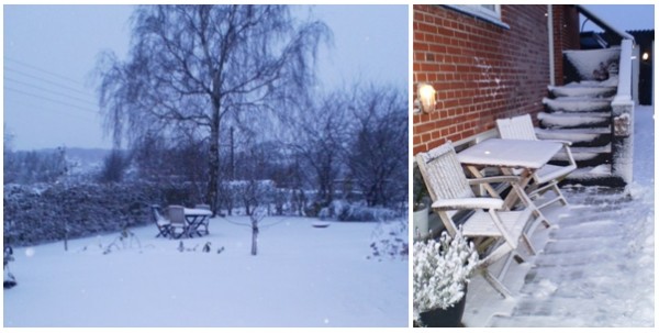 sne nov 2010